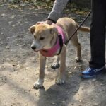 565703589 1210541577770321 5565205999632320378 n