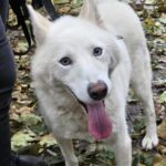 566340132 1216579827166496 2067314861270858715 n