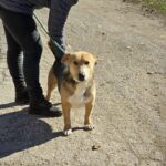 571017331 1217435080414304 5368463695072271441 n