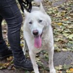 571175988 1216579877166491 1751153549327411738 n