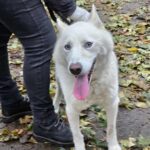 571192010 1216579833833162 8541913126385101302 n