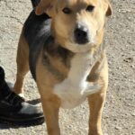 571447670 1217435067080972 3312182724289720938 n