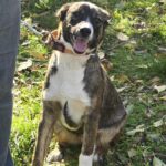 571665388 1223733016451177 6879088639584546806 n