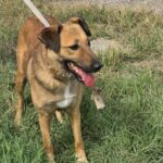 571678851 1222475769910235 6162942254883287372 n