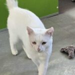 571813599 1222486649909147 254301729525294113 n