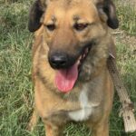 573061036 1222475766576902 1346189550520555933 n