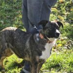 573076319 1223733059784506 3348071224808165090 n