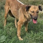 573107233 1222475859910226 2936763235868543347 n