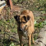 573416653 1222475986576880 4303960514899232761 n