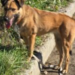 574255624 1222476069910205 3810012224685095616 n