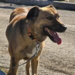 574312145 1222475989910213 4178667596570523924 n