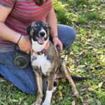 574345796 1223733009784511 1889005353285743283 n