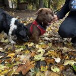 574844537 1224609756363503 8675470799743583875 n