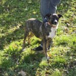 576089206 1223732799784532 8689836481564976143 n