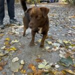 576128698 1224608886363590 6132943366032198662 n