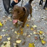 576511300 1224609519696860 267284006764342122 n