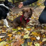 576910042 1224608443030301 4342030809237527880 n