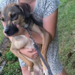 577037435 1230160212475124 5996467794589079472 n