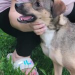 577038011 1230160305808448 8883305402120947565 n