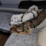 577042923 1230160425808436 854173943178778099 n