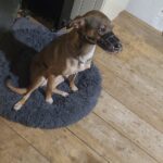 577058536 1230160319141780 8055629933714065737 n