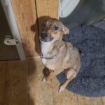 577060774 1230160352475110 4891022640372183142 n