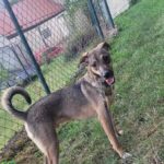 577060822 1230160139141798 3233350230831662910 n