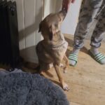 577118745 1230160142475131 8603118132558120106 n