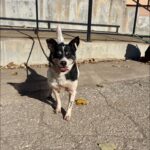 577399444 1226791972811948 4730753550056354749 n