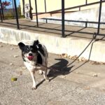 577437967 1226791512811994 248787872832452260 n