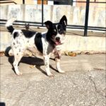 577551947 1226791669478645 7886835350736730103 n