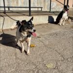 577554655 1226791802811965 571624361784093530 n