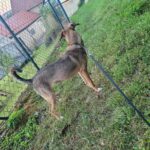 578670211 1230160232475122 3610022586531460279 n