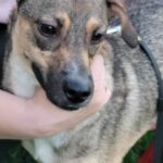 578690803 1230160215808457 7507476969618046449 n