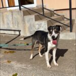 579032378 1228383312652814 3905807317273657496 n