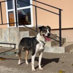 579036300 1228383152652830 8833881091317240051 n