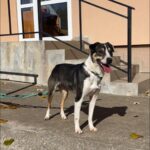 579094612 1228383642652781 2798684357238837016 n