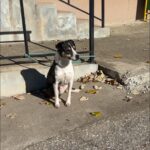 579104892 1228383485986130 1848084358687119730 n