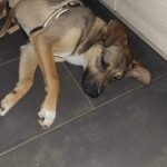 581123707 1230160135808465 5511397972778725703 n