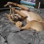 613613769 1277709984386813 8377720967855934602 n