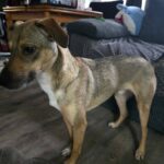 614628290 1277709787720166 1449854575437204853 n