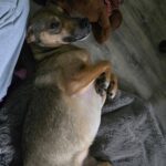 614679290 1277709871053491 4140856042537536756 n