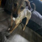 615142130 1277709514386860 9210188487957151245 n