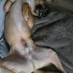 615164797 1277709694386842 8860502628891844929 n