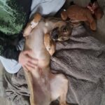 615234034 1277709574386854 5259487417226662747 n 1