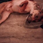 615338524 1277709897720155 486414463433809253 n