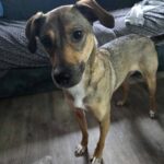 615377767 1277709441053534 1417211459992147491 n