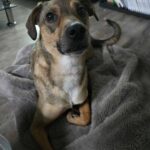 615416054 1277709544386857 6137209903336089110 n