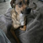 615753448 1277709481053530 8659300760704187945 n