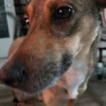 615775196 1277709831053495 2795180452295521331 n